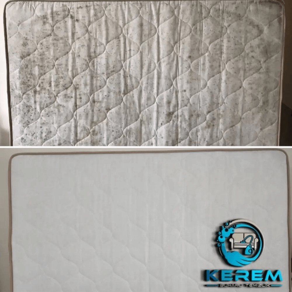 kerem-koltuk-yikama-oncesi-sonrasi-01